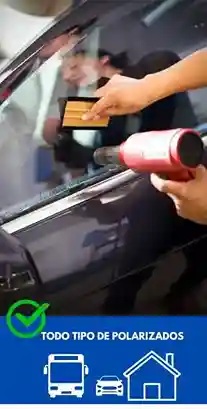polarizado de coches