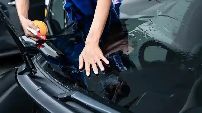 polarizados de autos